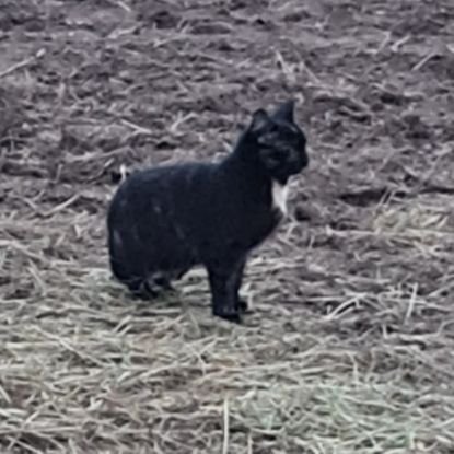 Nazis und Grüne? Nein danke!
Jesus ist Sieger!
Bin zurück.
Ich habe mehr vergessen, als ihr je gewußt habt!
Achtung, auch meine Katze schreibt mit.