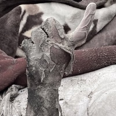 AkbasMurat610's profile picture. 