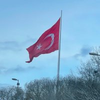 oakin61 (@oakin61) 's Twitter Profile Photo