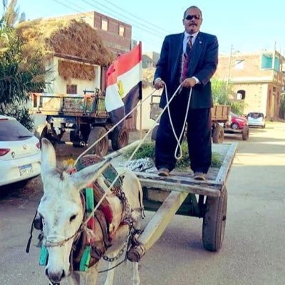 arfal_0's profile picture. 