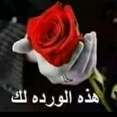 waleed_zkaria