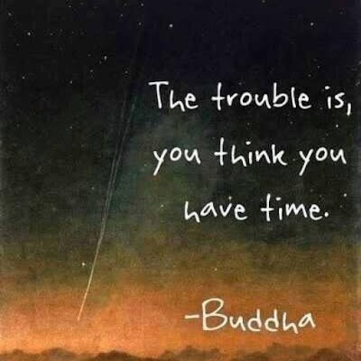 AsaiN446560's profile picture. 