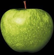 scottopia's profile picture. https://t.co/Qoc8gZST6K