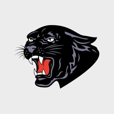 Official Twitter feed of Saucon Valley Athletics & Activities. Let's have some fun!