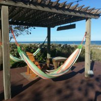 Beach Place Guesthouses(@BeachPlace1445) 's Twitter Profile Photo