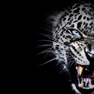 اللهم إني أسألك الجنة و أستجير بك من النار