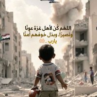 Bouchedda nacer بوشدة ناصر (@boucheddamed) 's Twitter Profile