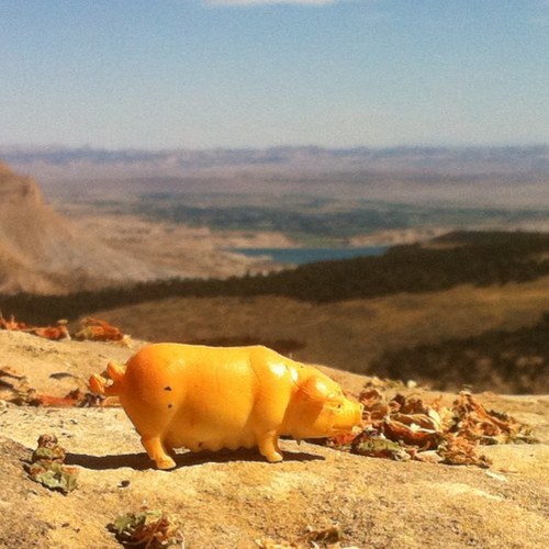 tlowry5078's profile picture. 