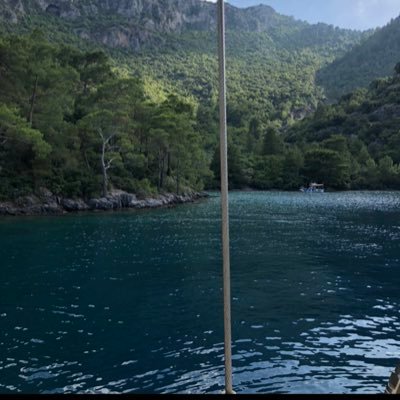 eksioglu_zeynep's profile picture. 