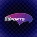 BHHS Esports (@EsportsBhhs) Twitter profile photo