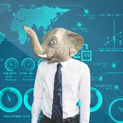 We deal with the big 'elephant in the room' questions, one chart at a time