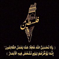 Hozayfa Reda (@hozifa2004) 's Twitter Profile