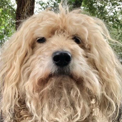 ken_parivar's profile picture. 