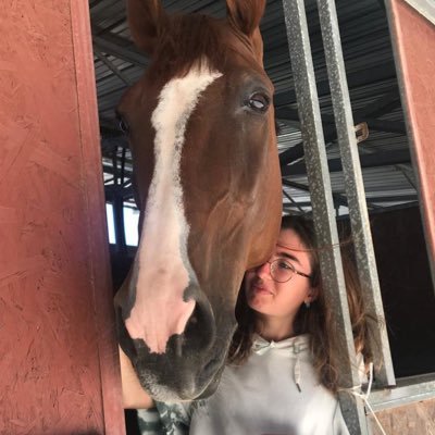 studio matto e disperatissimo all’Università degli studi di Padova in MedVet🩺  Horses addicted, in particolare del mio 🫀figlia della terra del sole🇮🇲