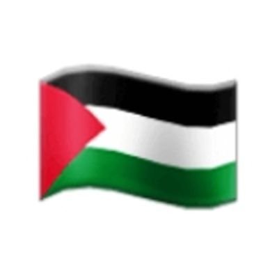 My vote is too valuable to give to a blue or red tory. 
 #CeasefireNOW for the Palestinian people. The right to return.