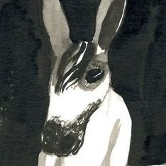 subnitido's profile picture. 