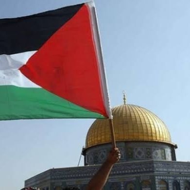 mesankara's profile picture. 