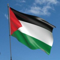 Nigel Gibson #SupportPalestine #BDS(@nigib1) 's Twitter Profile Photo