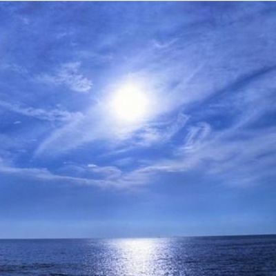 Dototentuma's profile picture. 貧乏投資家/
売らないと買えない資金力/
株主優待・ポイ活・コジ活・共立ﾘｿﾞｰﾄ・
株主総会・工場見学・懸賞好き主婦👵/
優待取得と使用・懸賞当選・お得情報
メモ代わりに呟きます/
いいね&コメント頂けると喜びます☺️
ブログも少しずつ書いてます