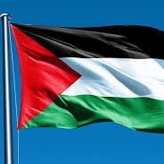 🇵🇸Palestine Will Be Free Inshallah🇵🇸 #SussexSquad🐘