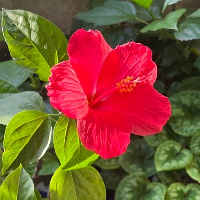 Z5GxQLqJZdCOSb3's profile picture. 