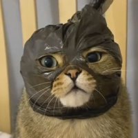 Mochraafli (@johanlieurbeurt) Twitter profile photo
