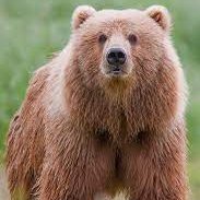 parkkone1's profile picture. A bit geopolitics Construction,safetyglass,scaffolding,https://t.co/sc6HkwmrTs https://t.co/VPHZ9fHp4C martial(fake too) arts science, nature, space, dogs. Hermit +Mrs+dog