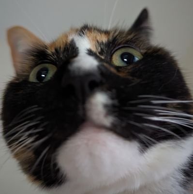 DaveStess's profile picture. 