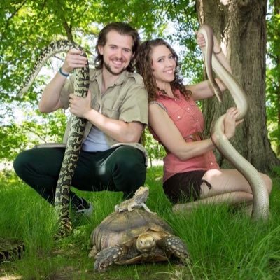 realmotreptile's profile picture. #RealmOfTheReptile
 🐍 🦎 🐢