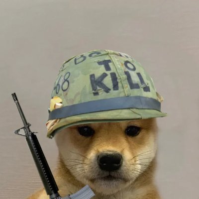 I am Jhinbo, I do not tweet much but I shall like your post if I agree with it.
Account made recently to join the hivemind.