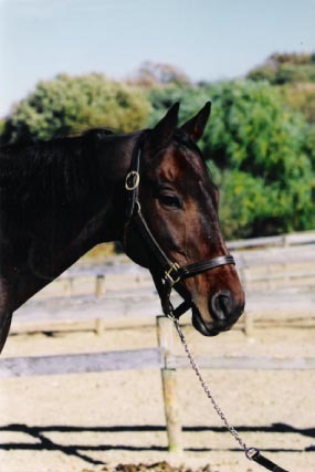 PatriciaForman's profile picture. 