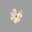 ardornz's profile image