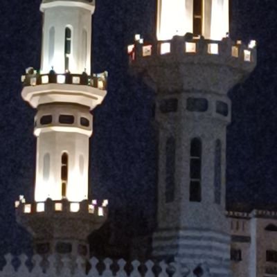 salmangi's profile picture. jiinaa bikum lafeefa towards GG.