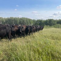 MFGA (@mbforages) 's Twitter Profile