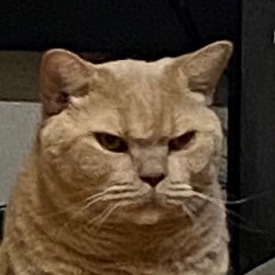 とらきちさんのプロフィール画像