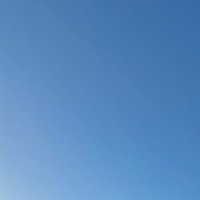 ナッツ (@s78902362) 's Twitter Profile