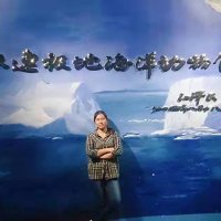 Alice Zhao-HT Hydraulics (@alicezhao0803) 's Twitter Profile