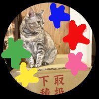 335ミミコ(@kerokerokerm) 's Twitter Profile Photo