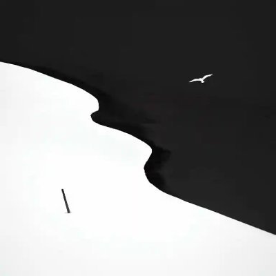 art Profile