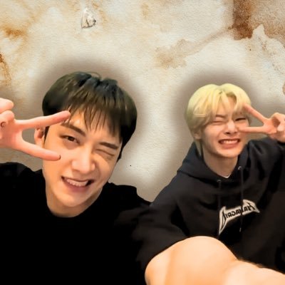 ✧ a multimedia fanwork event to celebrate bang chan & jeongin ✧

🦊 🐺