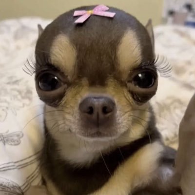 초절정미소녀さんのプロフィール画像