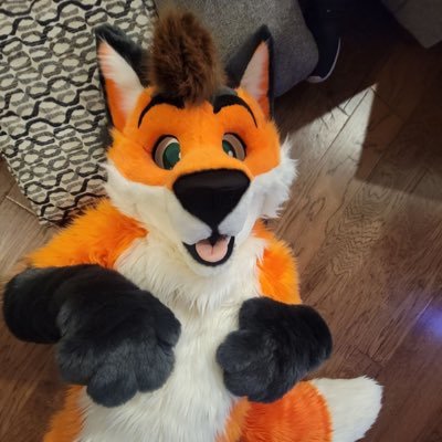 Anothergayfoxy Profile Picture