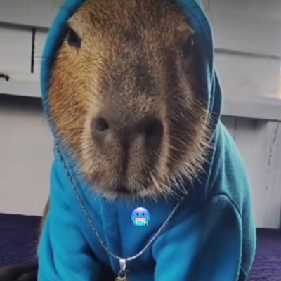 LeonardoB10636's profile picture. 