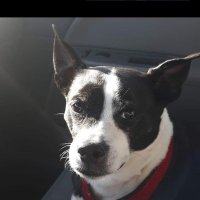 David Fitzgerald ✊🌎 (@fitzgeralddave0) 's Twitter Profile Photo David Fitzgerald ✊🌎 (@fitzgeralddave0) 's Twitter Profile Photo