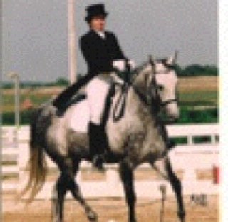 SCarlsonSWR's profile picture. 