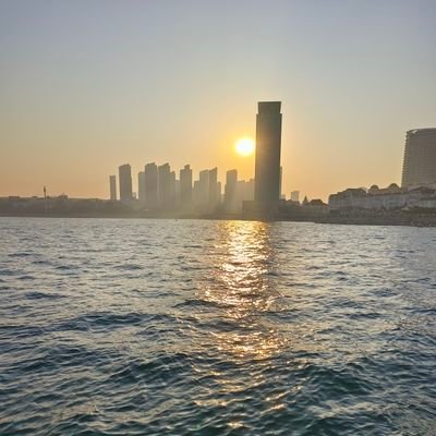 flysea11's profile picture. I just think…