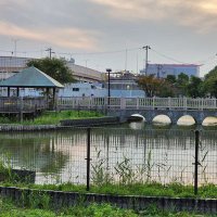 osaka_👴3 (@o1e717afv632694) 's Twitter Profile