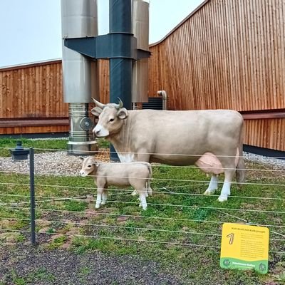 DMHandWerk's profile picture. 