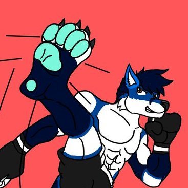 CeriseWolfoさんのプロフィール画像
