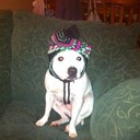 Sarah Cookson - @monstamunchie - Twitter